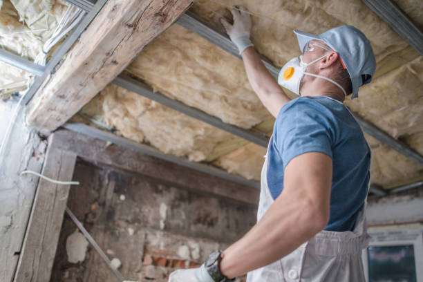 Best Wall Insulation Contractor  in Slater, MO