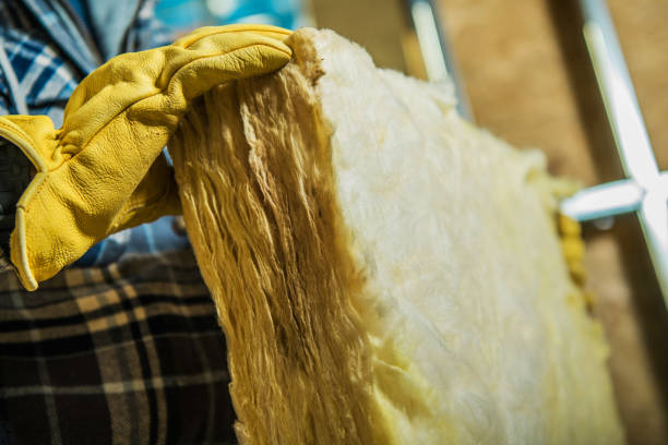 Best Blown-in Insulation  in Slater, MO