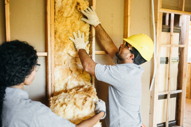 Best Fiberglass Insulation  in Slater, MO