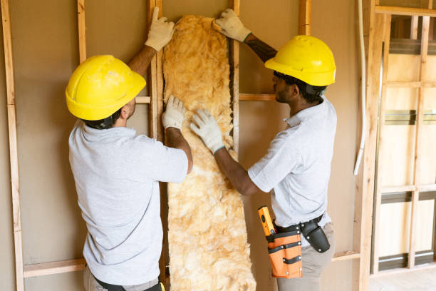 Best Insulation Contractors for Homes  in Slater, MO
