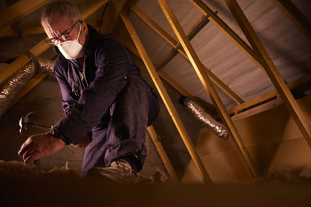 Best Best Insulation Companies  in Slater, MO