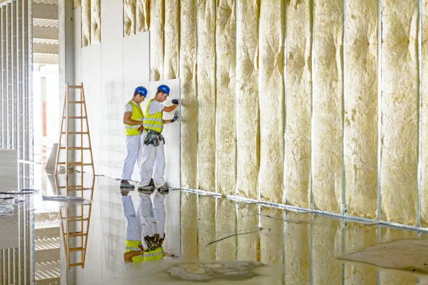 Best Residential Insulation Services  in Slater, MO